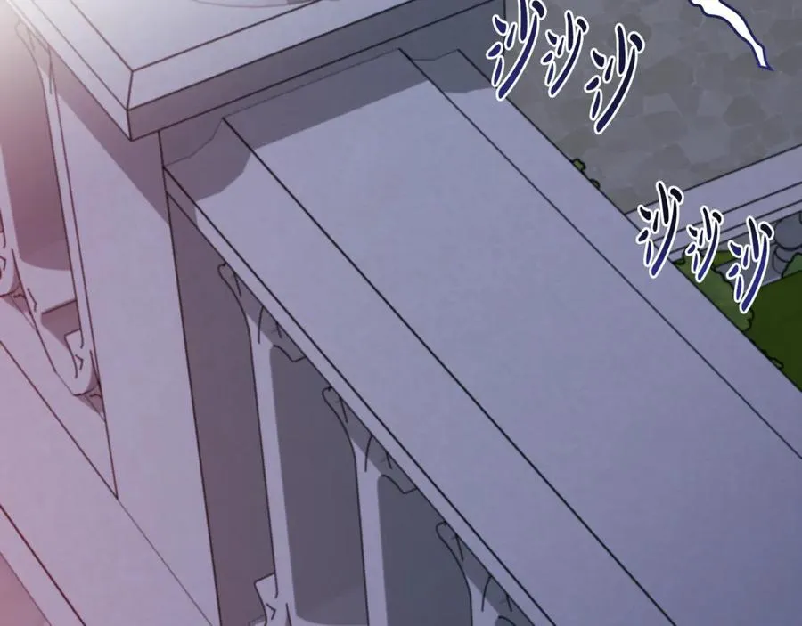 第66话 一只小鸟的缘分66