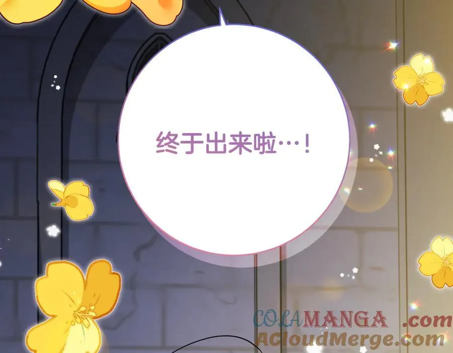 第66话 一只小鸟的缘分104