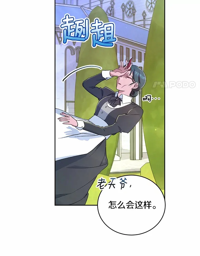 3.取名26