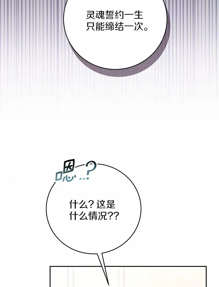 28.战争40