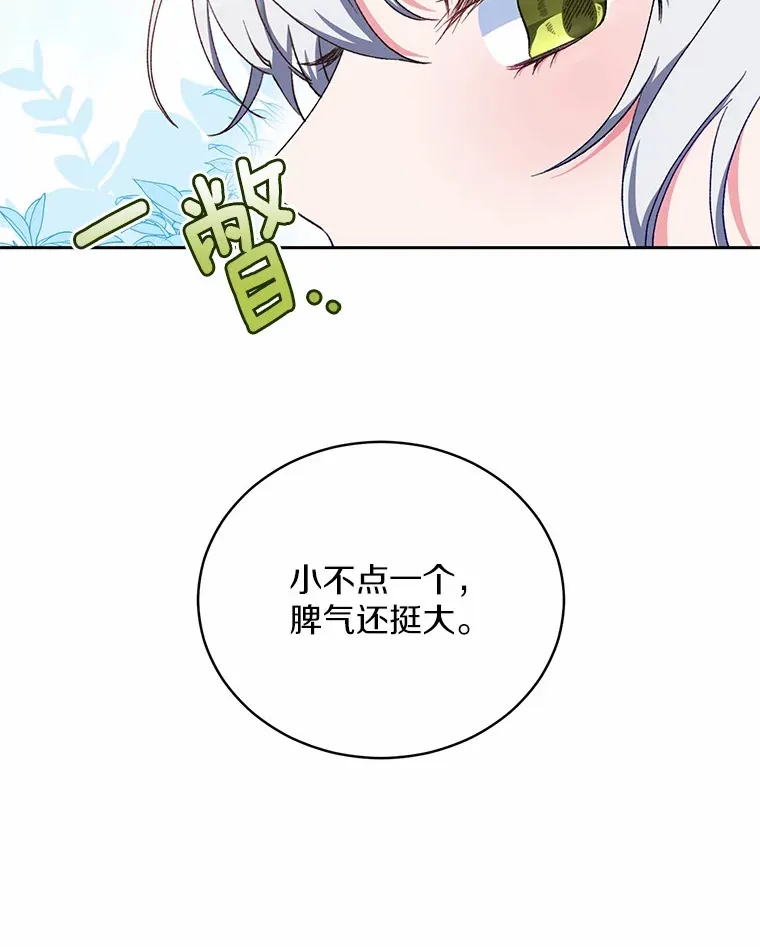 3.取名66