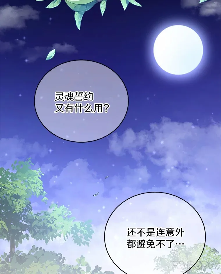 18.灵魂誓约123