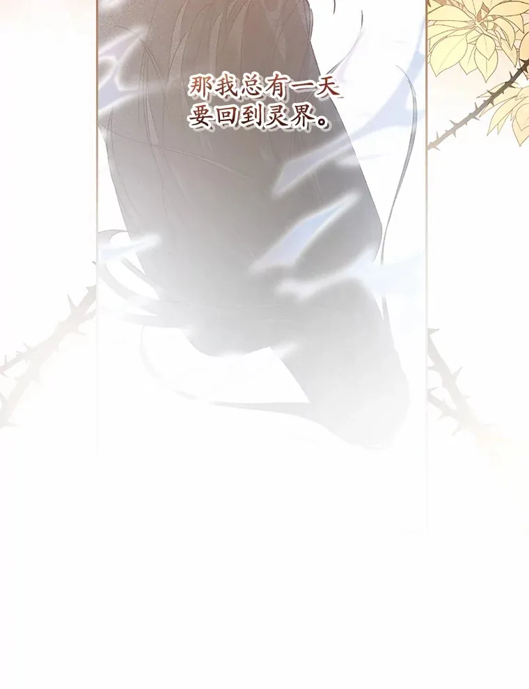 24.爱情的妙药64