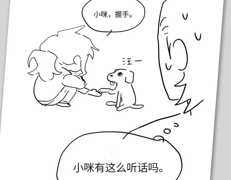 设定-13位角色设定流出29