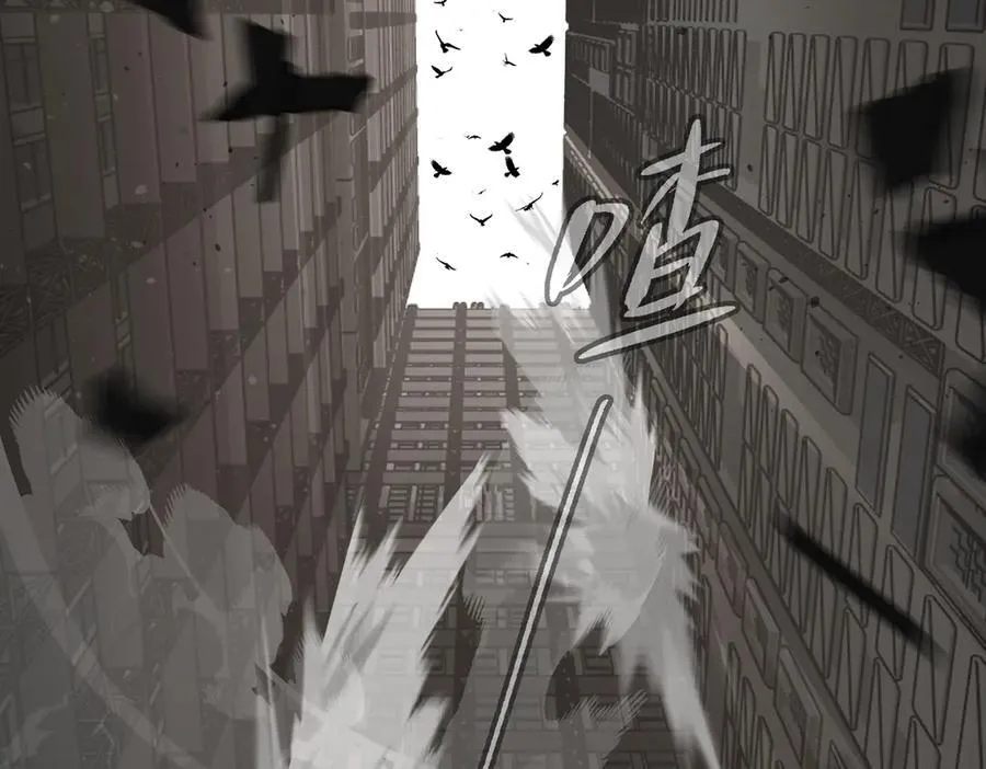 14-全面来袭145