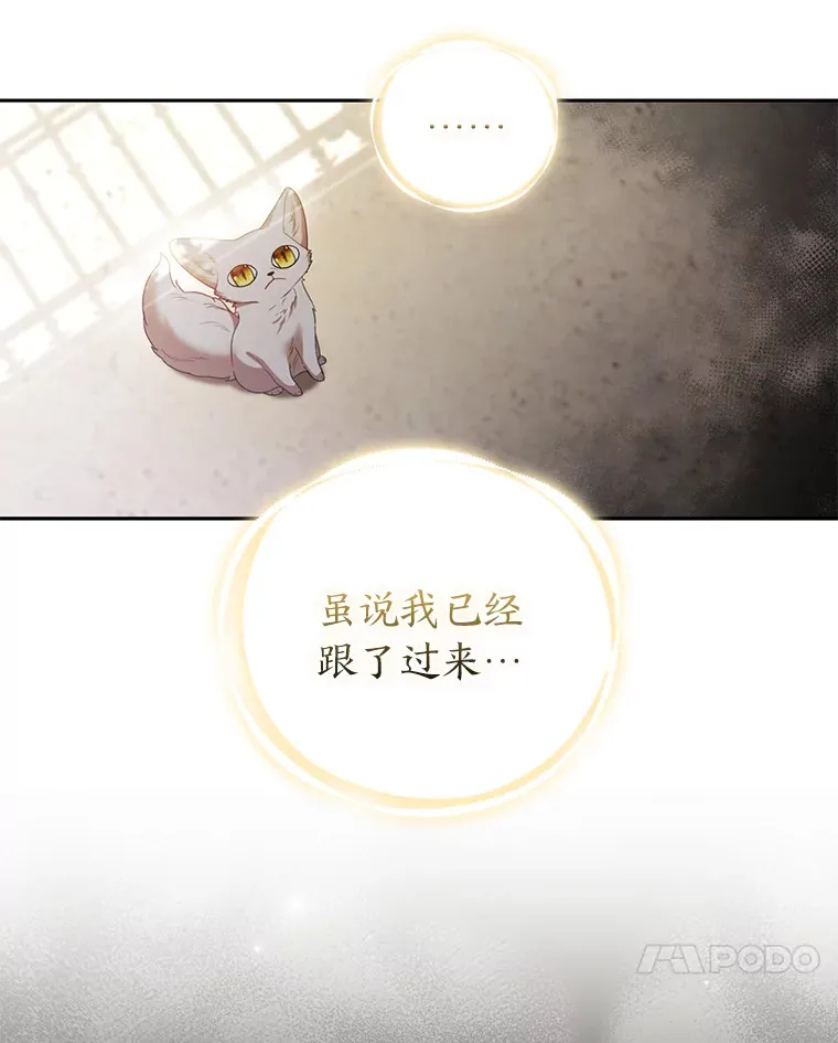 20.洛温的建议64