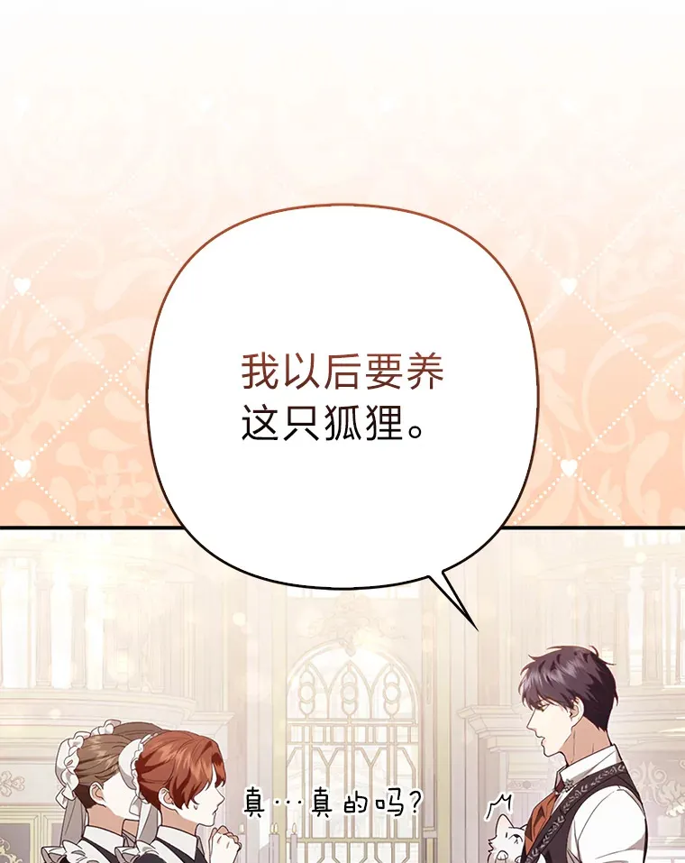 4.我的狐狸78