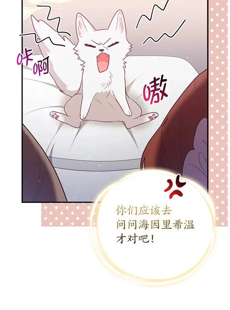 4.我的狐狸33