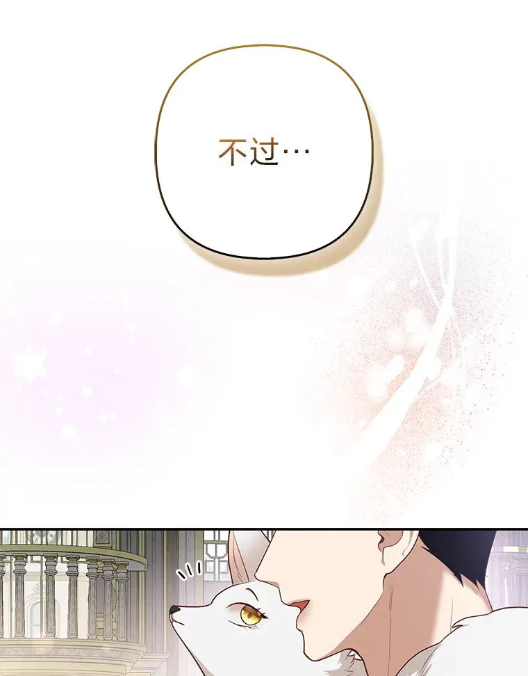 4.我的狐狸90