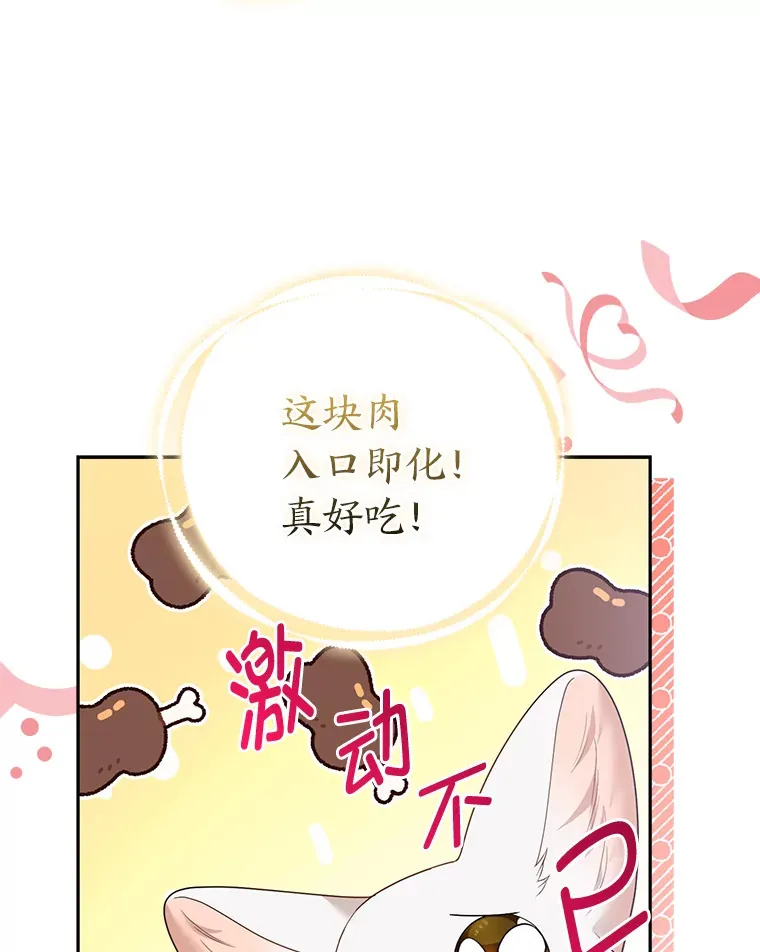 20.洛温的建议47