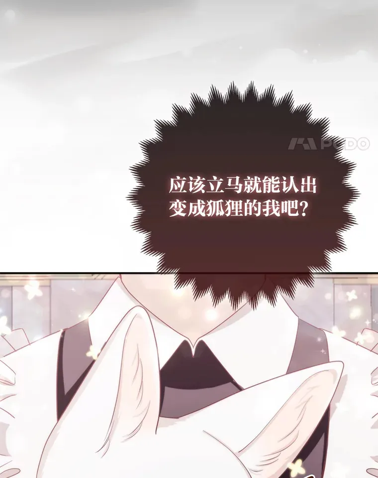 4.我的狐狸69
