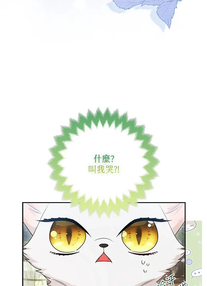 第13话16