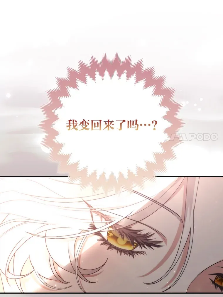 3.求收养！79