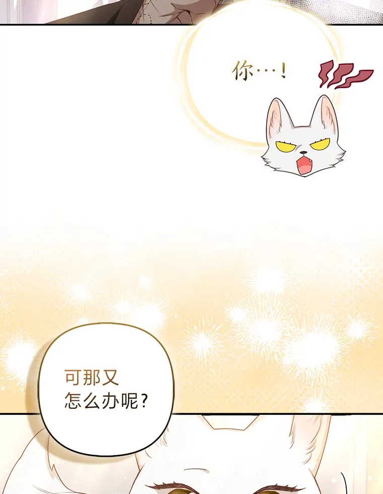 4.我的狐狸108