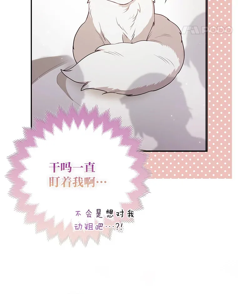 4.我的狐狸45