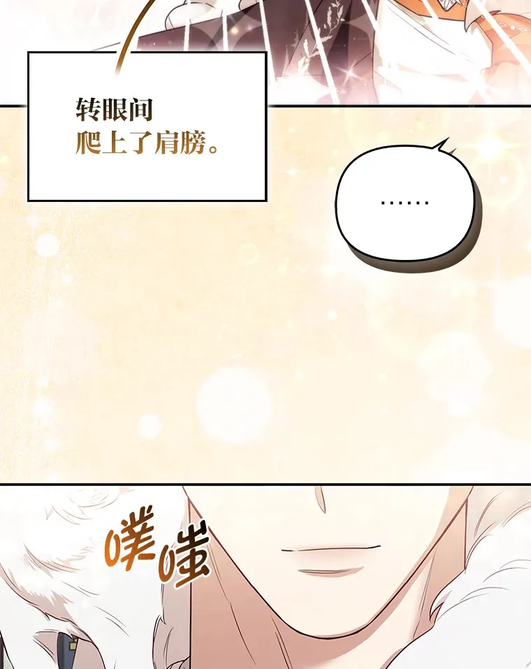 4.我的狐狸84