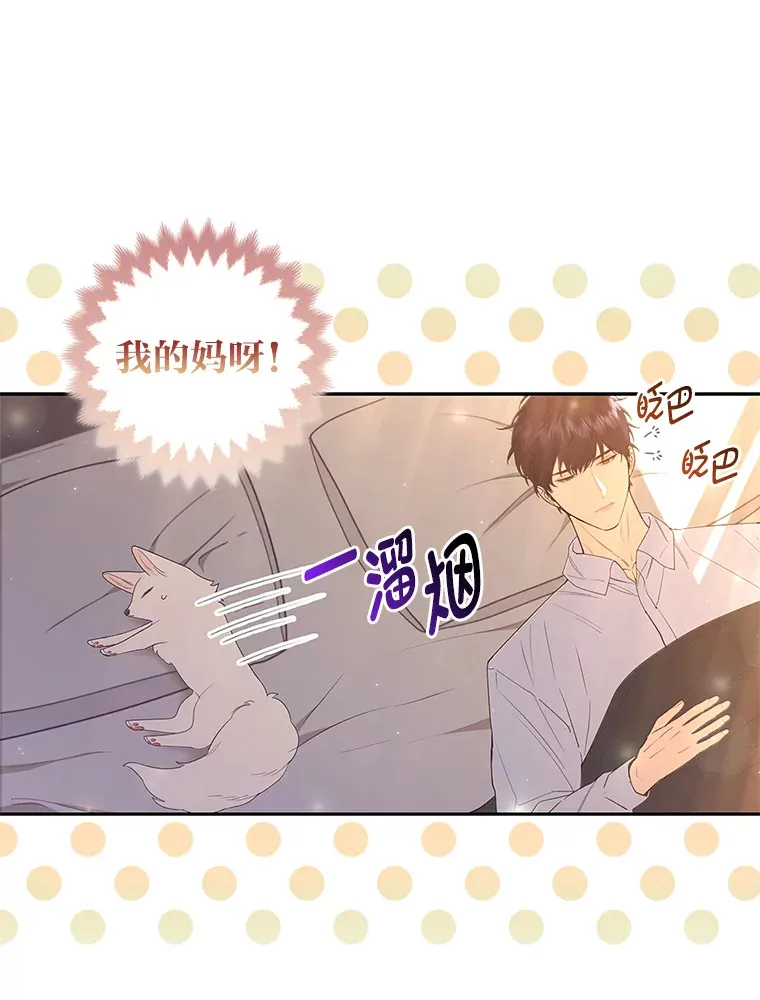 3.求收养！97