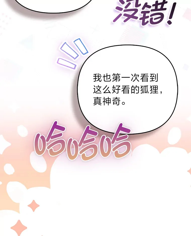4.我的狐狸47