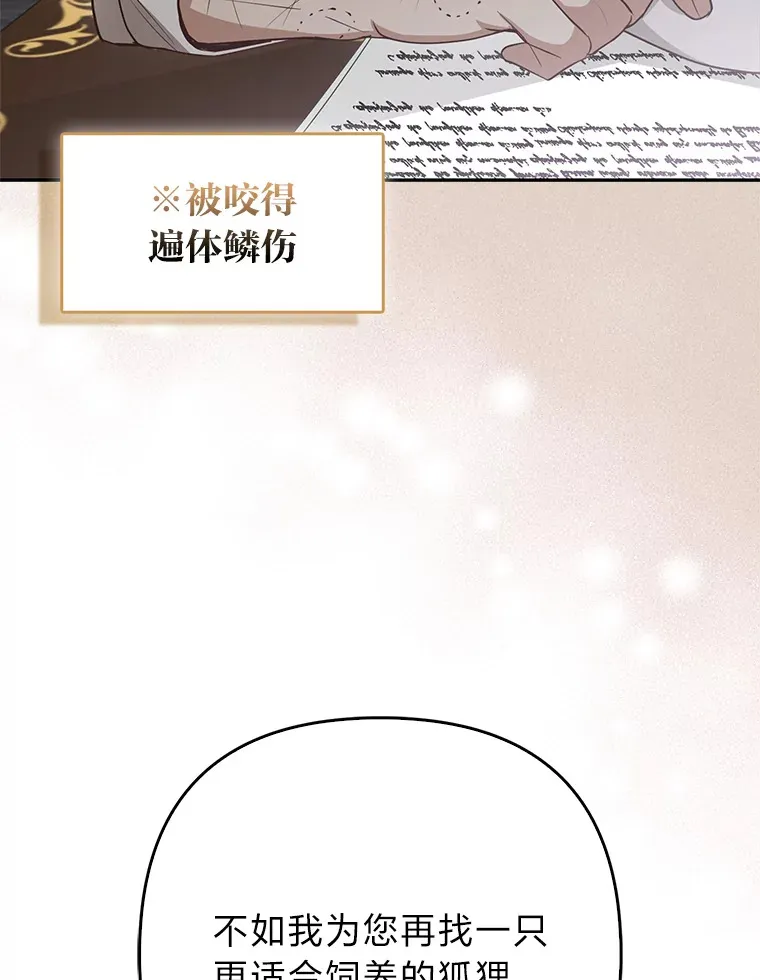 4.我的狐狸104