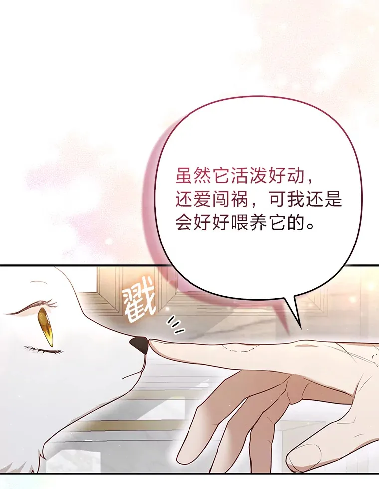 5.起名字4
