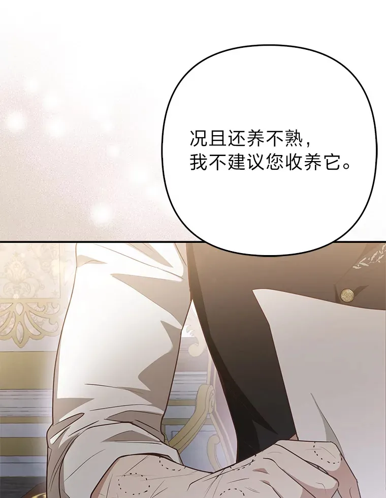 4.我的狐狸103