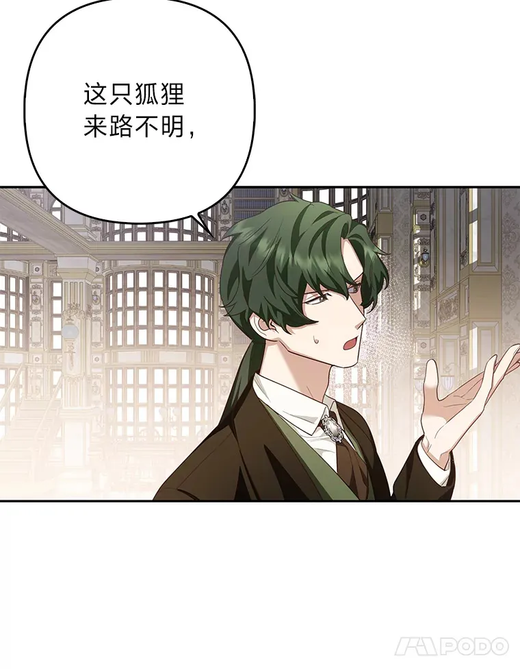 4.我的狐狸102