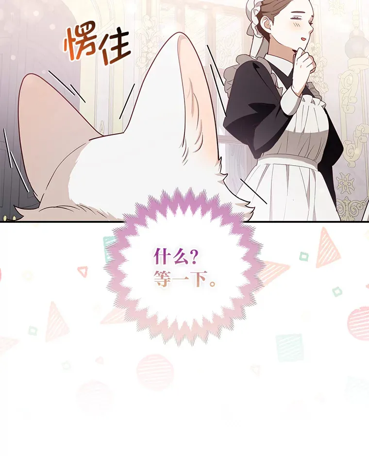4.我的狐狸54