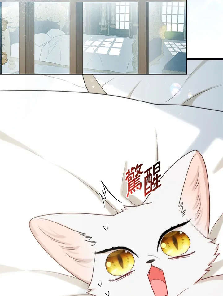 第11话1