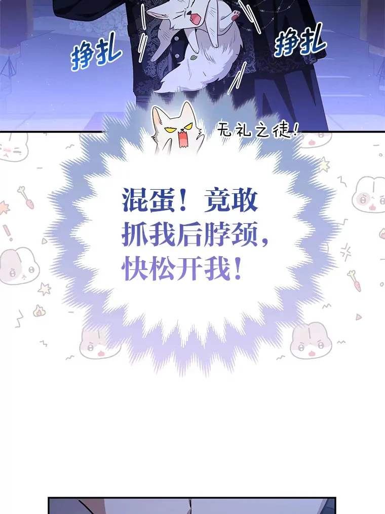 3.求收养！48