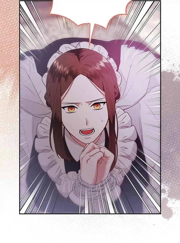 25.侍女的真诚告白53