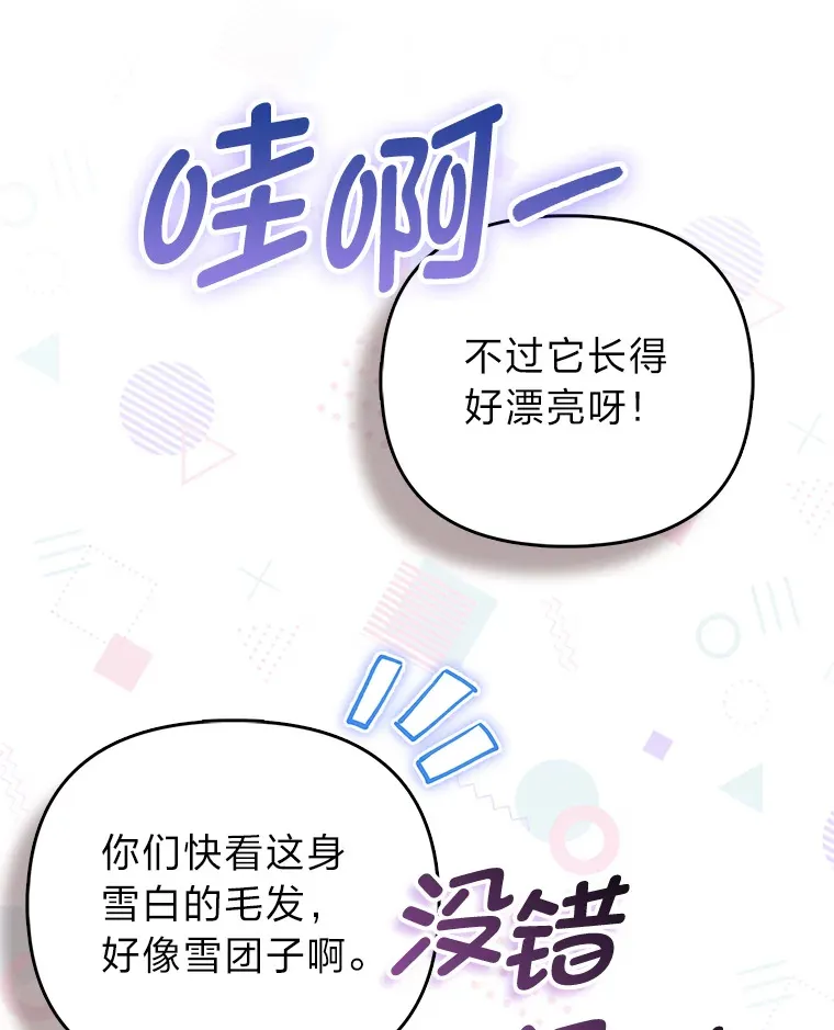 4.我的狐狸46