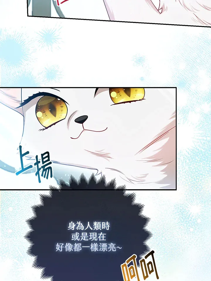 第10话14