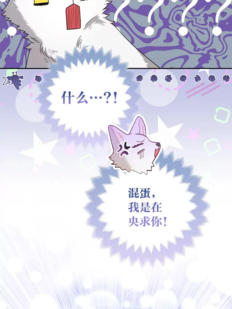 3.求收养！45