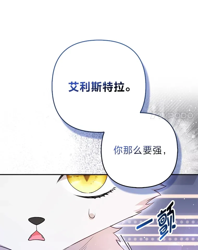 6.早已洞察的大公40