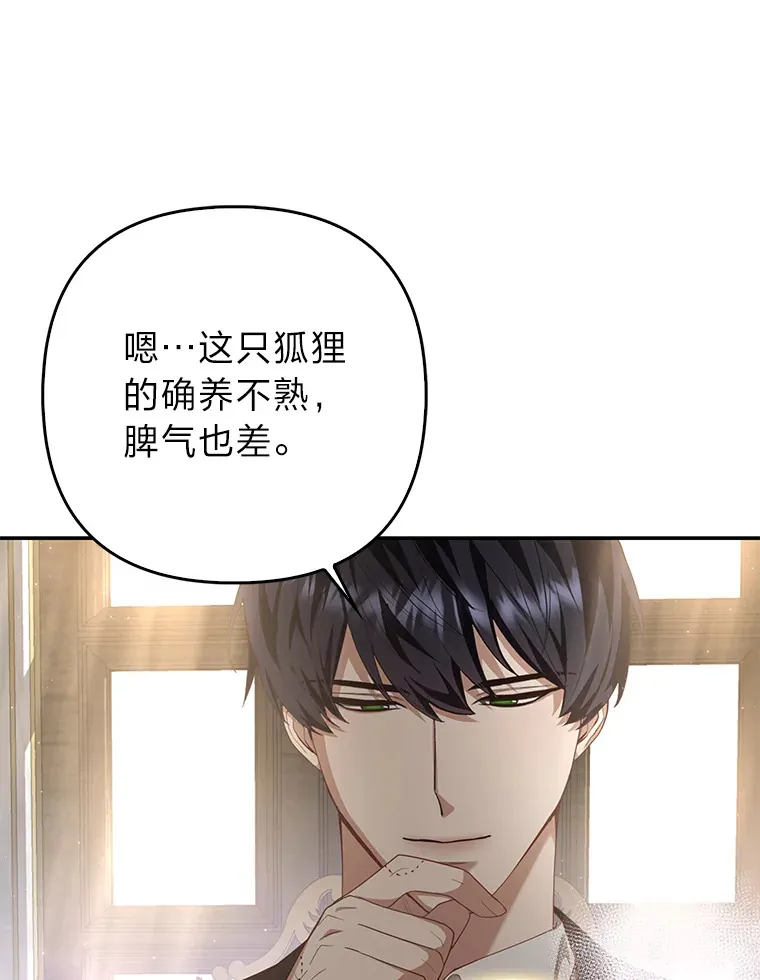 4.我的狐狸107