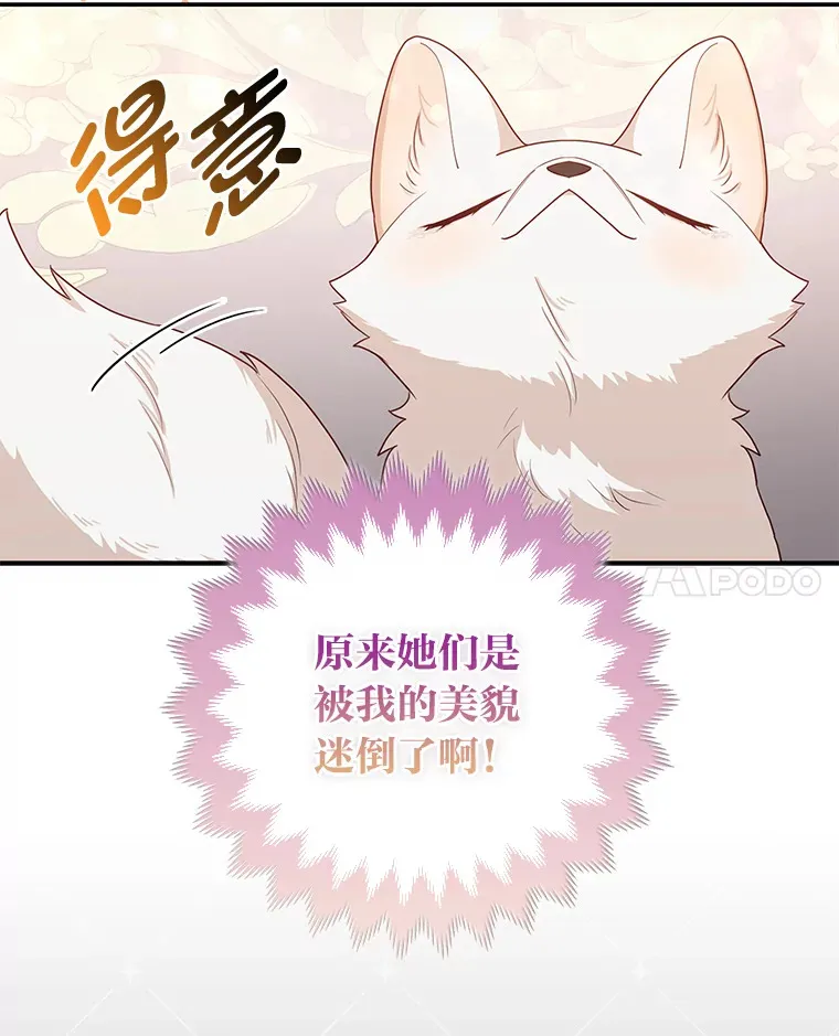 4.我的狐狸48