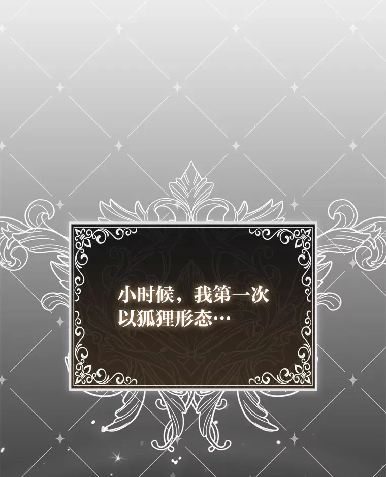 4.我的狐狸49