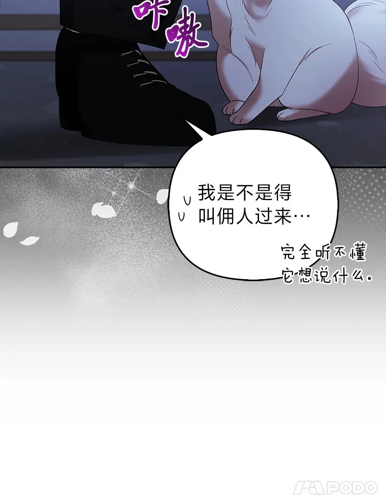 19.另有隐情71