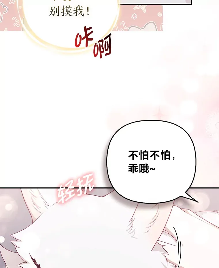 4.我的狐狸56
