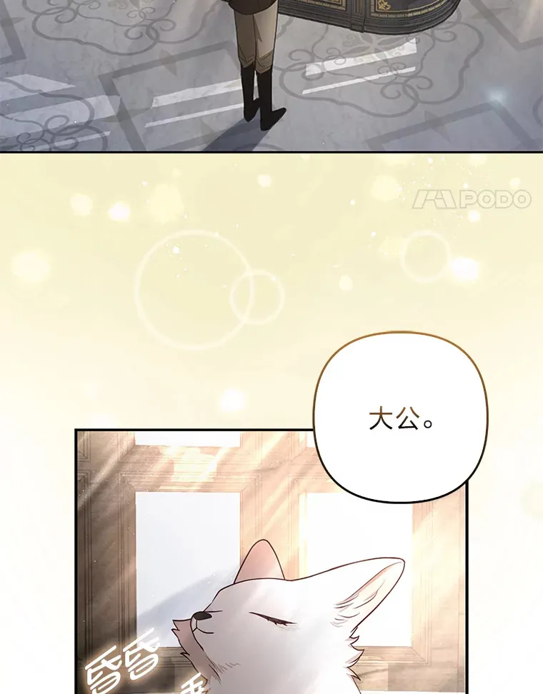 4.我的狐狸96