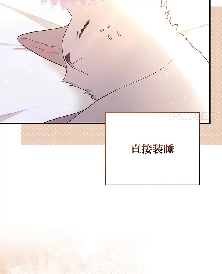 4.我的狐狸3