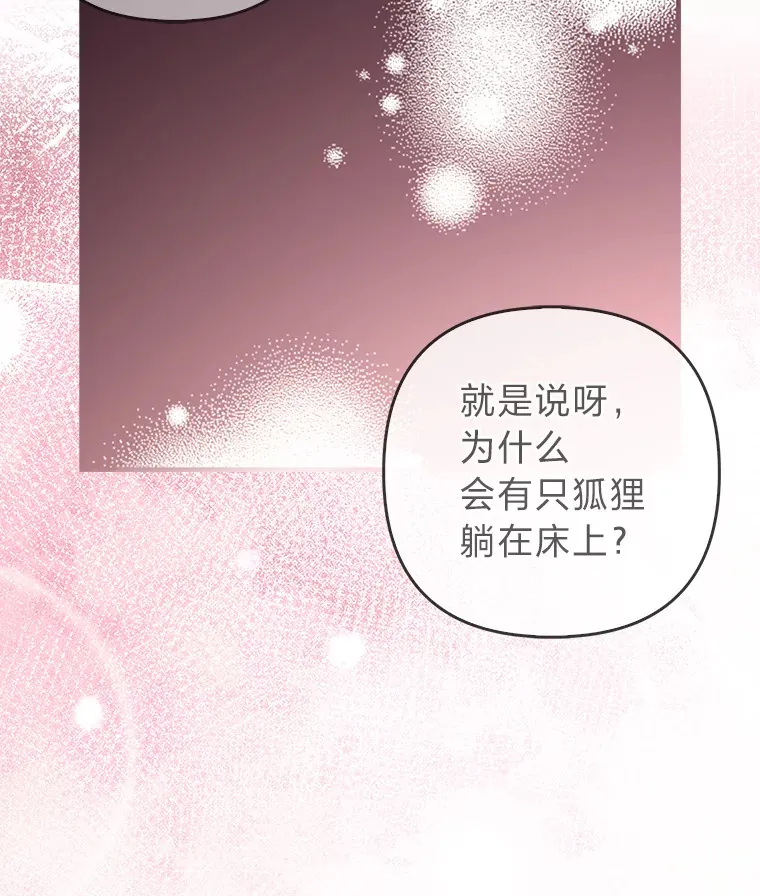 4.我的狐狸17