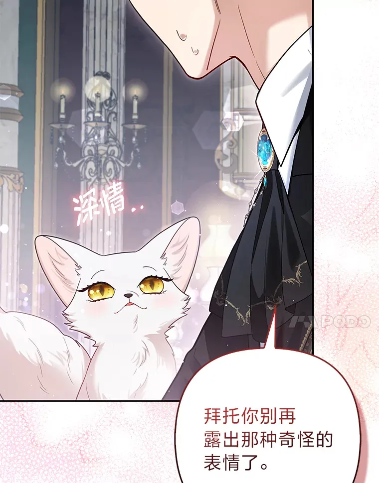 9.化身乖巧小狐狸6