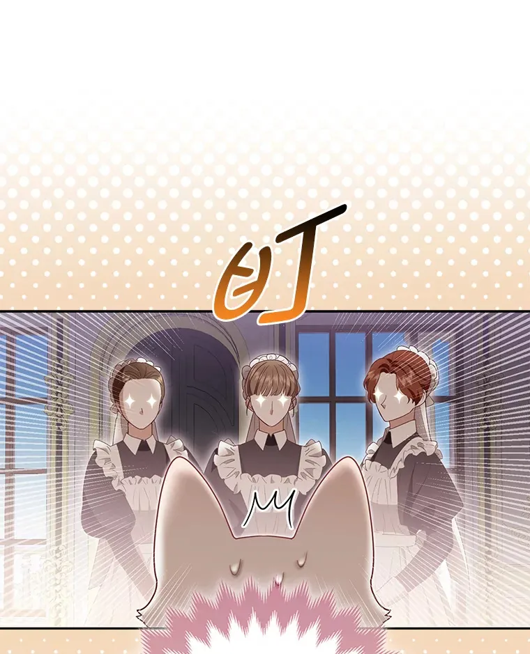 4.我的狐狸43