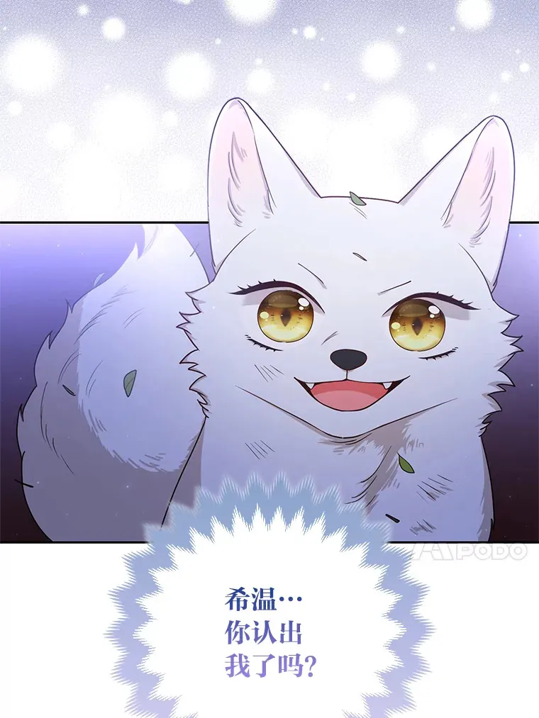 3.求收养！20