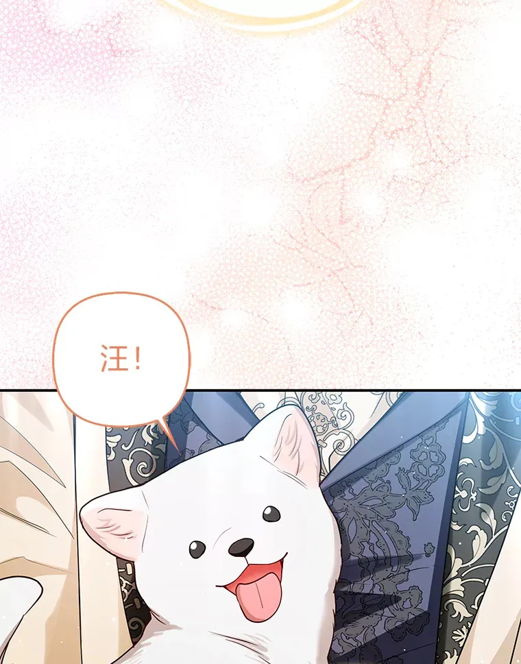 11.各自的朋友52