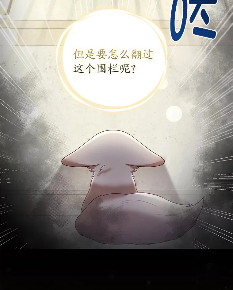 20.洛温的建议66