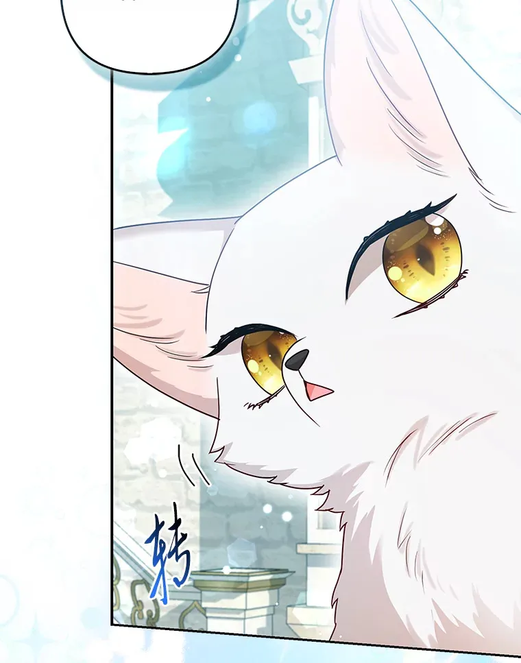 11.各自的朋友84