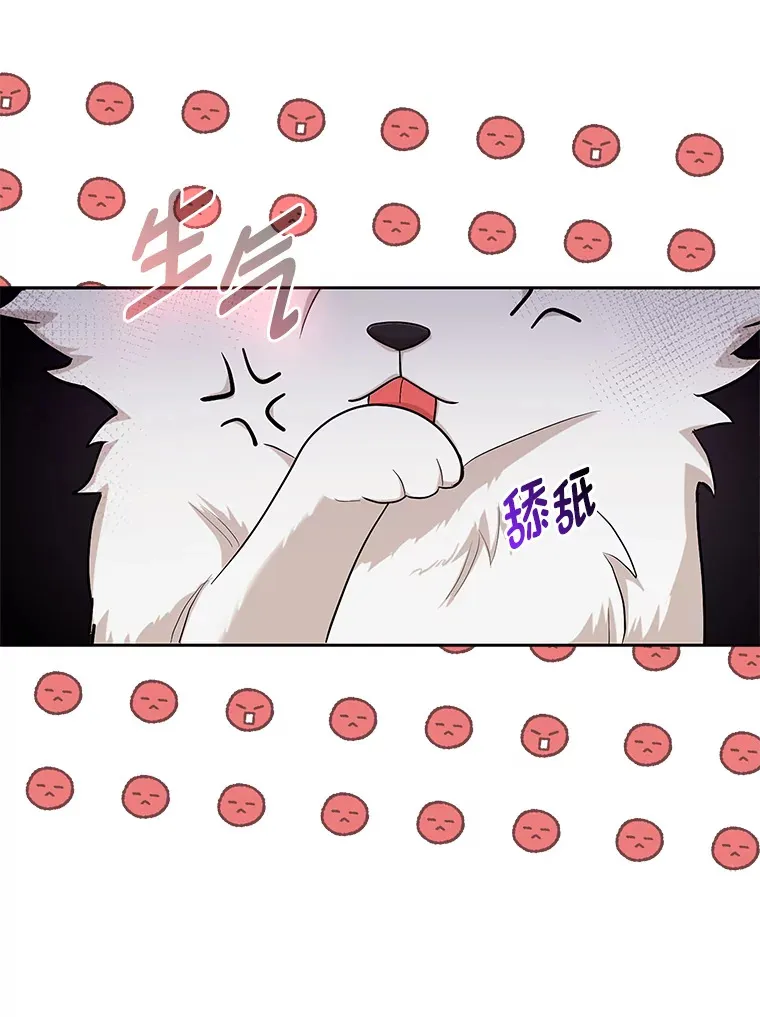 3.求收养！91