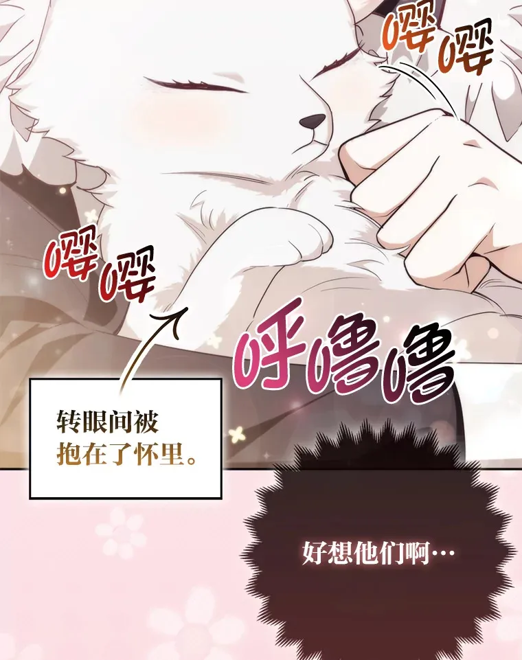 4.我的狐狸70